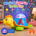 Musical Light-Up Turtle Toy for Kids